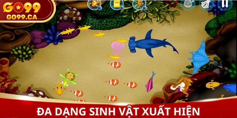 Bắn cá thần rồng với đa dạng sinh vật