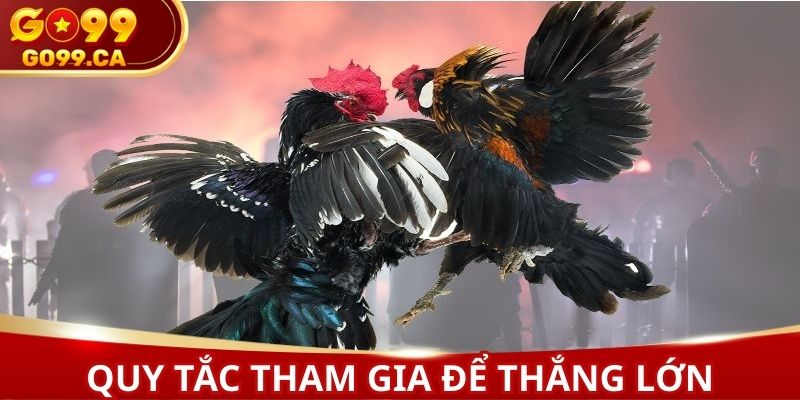 Quy tắc tham gia cần nắm để giành chiến thắng