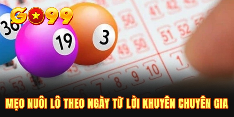 Mẹo nuôi lô theo ngày từ lời khuyên chuyên gia